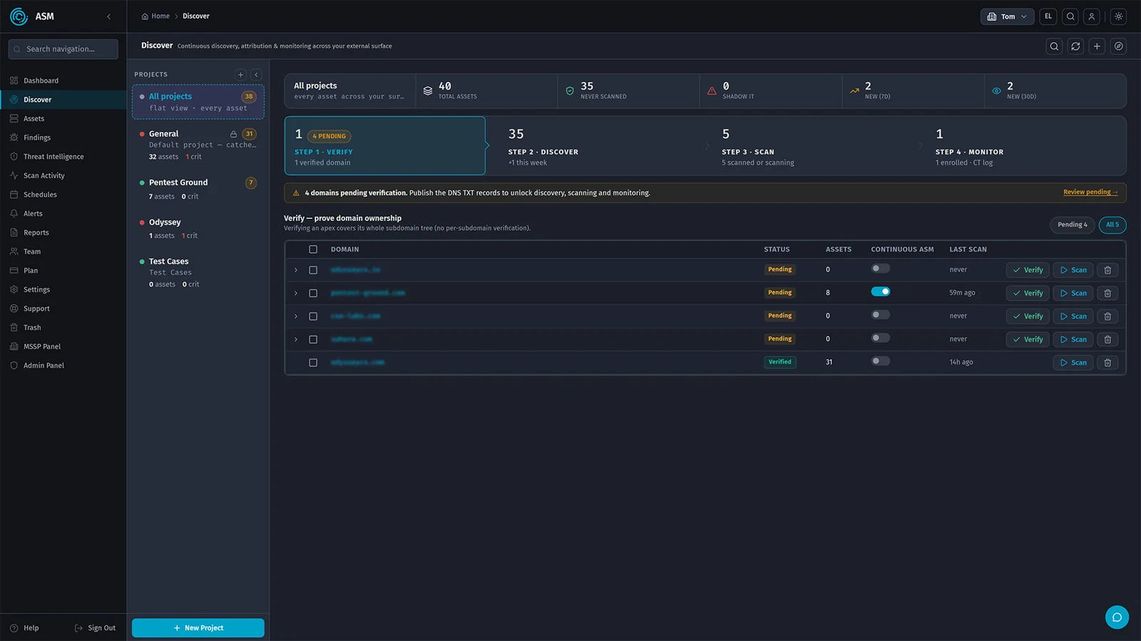 ClearSkies ASM Discover view, step one: domain ownership verification, with each domain pending or verified